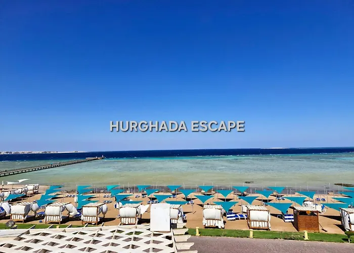 Gravity Sahl Hasheesh Not Egyptians 5*